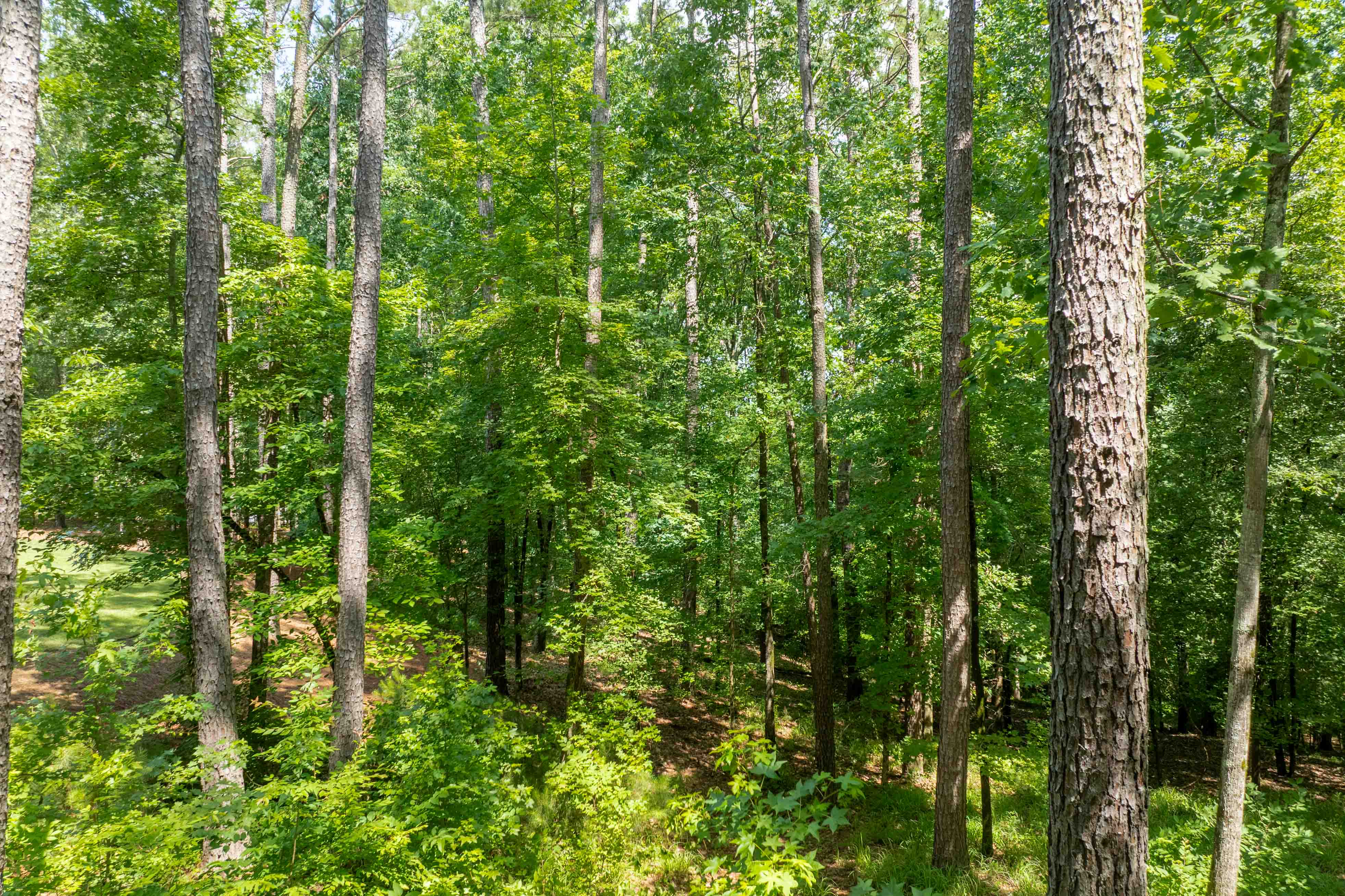 1171 Sunset Overlook image 10